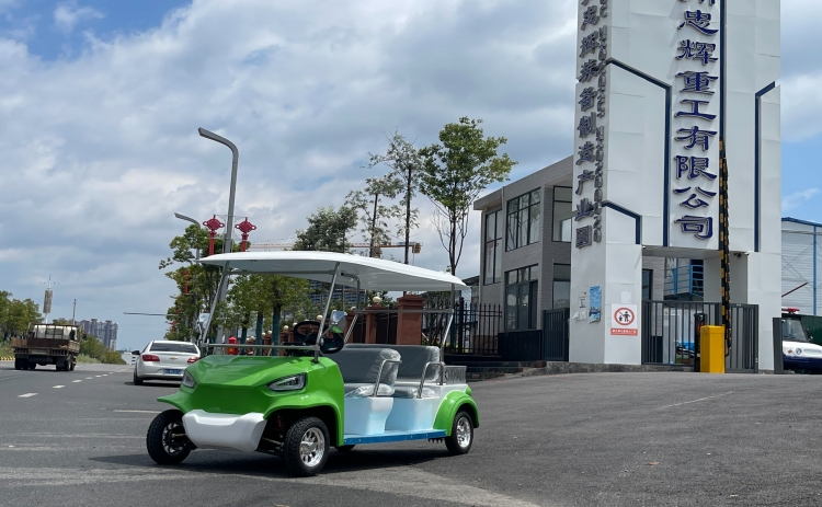 貴州忠輝4座電動游園代步車——青蛙